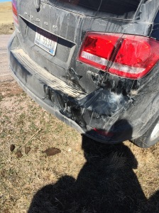 This is where the bison licked the car.